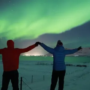 Explore 6 Day - Iceland Ring Road Small-Group Tour for 6 days with BusTravel Iceland and discover unforgettable experiences - Photo 11