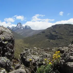 Explore 6 days Mount Kenya Trek with Samburu Game Reserve Wildlife Safari 2025 for 6 days with CKC Tours & Travel and discover unforgettable experiences - Photo 2