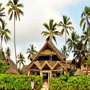 Explore 16 days Kenya Tanzania and  Zanzibar mid range flying Safari 2025/2026 for 16 days with CKC Tours & Travel and discover unforgettable experiences - Photo 3