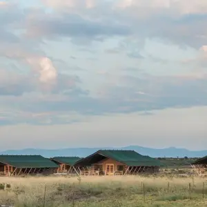 Explore 7 days Mara Nakuru Naivasha Ol Pejeta Samburu midrange Joining Safari for 7 days with CKC Tours & Travel and discover unforgettable experiences - Photo 6