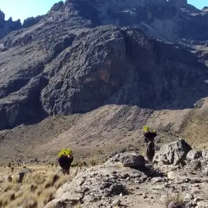 Explore 11 days Mount Kenya Trek combined with Lake Nakuru, Masai Mara, Naivasha and Amboseli Safari 2025 for 11 days with CKC Tours & Travel and discover unforgettable experiences - Photo 4