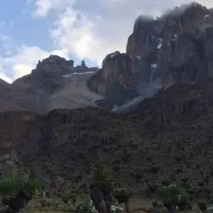 Explore 12 days Mount Kenya Trek with Masai Mara, Nakuru, Naivasha, Amboseli and Tsavo West Wildlife Safari 2025 for 12 days with CKC Tours & Travel and discover unforgettable experiences - Photo 4