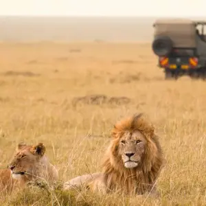Explore 12 days Kenya and Tanzania High End Flying Safari 2025 for 12 days with CKC Tours & Travel and discover unforgettable experiences - Photo 2