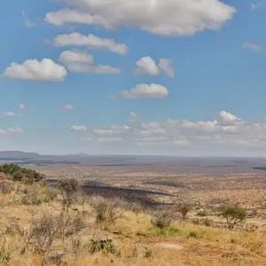 Explore 7 days Kenya High End Flying Safari 2025 for 7 days with CKC Tours & Travel and discover unforgettable experiences - Photo 3