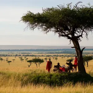 Explore 10 days Kenya Luxury range Flying Safari Holiday for 10 days with CKC Tours & Travel and discover unforgettable experiences - Photo 2