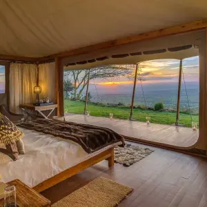 Explore 7 days Kenya High End Flying Safari 2025 for 7 days with CKC Tours & Travel and discover unforgettable experiences - Photo 4
