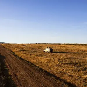 Explore 16 Days Kenya and Tanzania mid range driving Safari Holiday for 16 days with CKC Tours & Travel and discover unforgettable experiences - Photo 2