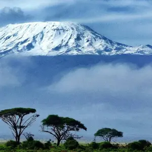 Explore 8 Days Tanzania Mount Kilimanjaro Trek using Machame Route for 8 days with CKC Tours & Travel and discover unforgettable experiences - Photo 5