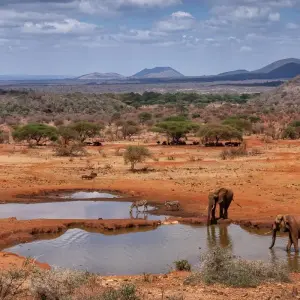 Explore 15 days Kenya shared vehicles medium range Safari and Watamu Beach Tour 2025 for 15 days with CKC Tours & Travel and discover unforgettable experiences - Photo 7