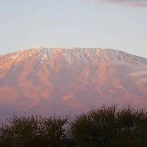 Explore 7 Days Tanzania Mount Kilimanjaro Trek using Marangu Route for 7 days with CKC Tours & Travel and discover unforgettable experiences - Photo 6