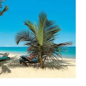 Explore 12 Days Tanzania  Luxury Safari and Zanzibar Beach Holiday 2025/2026 for 14 days with CKC Tours & Travel and discover unforgettable experiences - Photo 3