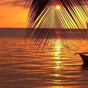 Explore 15 Days Kenya Tanzania Mid Range Safari & Zanzibar Beach holiday 2025 for 15 days with CKC Tours & Travel and discover unforgettable experiences - Photo 2