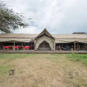 Explore 7 Days Kenya and Tanzania private  medium range driving safari for 7 days with CKC Tours & Travel and discover unforgettable experiences - Photo 2