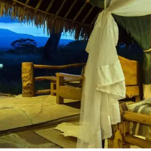 Explore 5 Days Kenya medium range safari for Amboseli and Tsavo Parks from Nairobi to Mombasa for 5 days with CKC Tours & Travel and discover unforgettable experiences - Photo 6