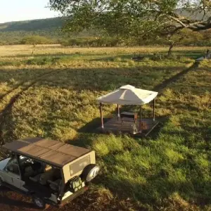Explore 7 Days Kenya and Tanzania private  medium range driving safari for 7 days with CKC Tours & Travel and discover unforgettable experiences - Photo 3