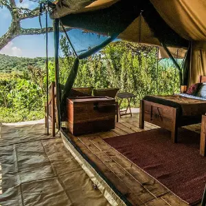Explore 6 Days Tanzania luxury range Driving Safari 2025/2026 for 6 days with CKC Tours & Travel and discover unforgettable experiences - Photo 2