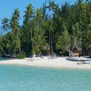 Explore 7 Days Kenya mid range safari and Beach Holiday for 7 days with CKC Tours & Travel and discover unforgettable experiences - Photo 4