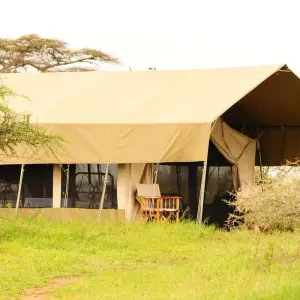 Explore 6 Days Tanzania luxury range Driving Safari 2025/2026 for 6 days with CKC Tours & Travel and discover unforgettable experiences - Photo 3