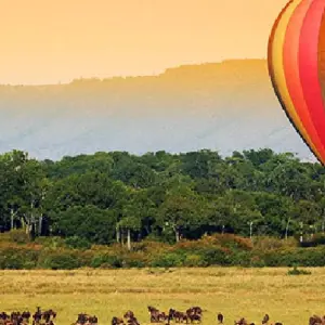 Explore 5 Day Kenya  Flying Safari 2025/2026 for 5 days with CKC Tours & Travel and discover unforgettable experiences - Photo 5