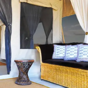 Explore 16 Days Kenya and Tanzania mid range driving Safari Holiday for 16 days with CKC Tours & Travel and discover unforgettable experiences - Photo 8