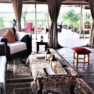 Explore 5 Day Kenya and Uganda luxury flying safari 2025/2026 for 5 days with CKC Tours & Travel and discover unforgettable experiences - Photo 6