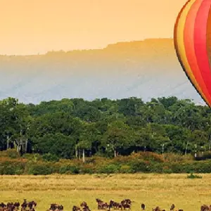 Explore 7 Days Kenya and Tanzania private  medium range driving safari for 7 days with CKC Tours & Travel and discover unforgettable experiences - Photo 6