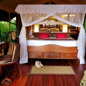 Explore 16 Days Kenya and Tanzania mid range driving Safari Holiday for 16 days with CKC Tours & Travel and discover unforgettable experiences - Photo 9