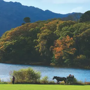 Explore Taste of Ireland Self-Drive - 7 Days/6 Nights for 7 days with CIE Tours and discover unforgettable experiences - Photo 4