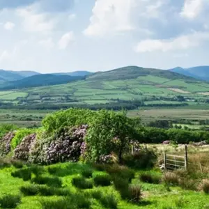 Explore Taste of Ireland Self-Drive - 7 Days/6 Nights for 7 days with CIE Tours and discover unforgettable experiences - Photo 8