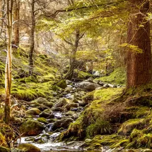 Explore Mystical Ireland - 8 Days/7 Nights for 8 days with CIE Tours and discover unforgettable experiences - Photo 2