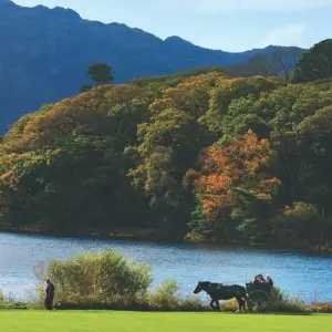 Explore Irish Odyssey - 12 Days/11 Nights for 12 days with CIE Tours and discover unforgettable experiences - Photo 4