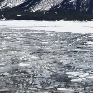 Explore Rockies Winter Fun 4-Day Tour for 4 days with Calgary Tours and discover unforgettable experiences - Photo 5