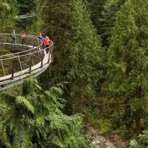 Explore 7-Day West Canada Tour: Vancouver & Rockies with VIA Railway | Departure from Vancouver for 7 days with Calgary Tours and discover unforgettable experiences - Photo 11