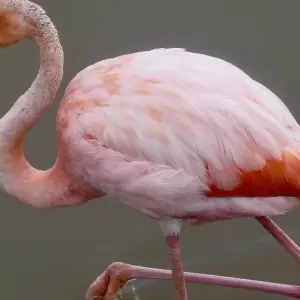 Explore 8-Day Highlights of Quito and the Galapagos Islands + Air Ticket (Private Tour Group) for 8 days with Cami Adventures and discover unforgettable experiences - Photo 3