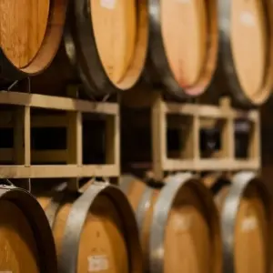 Explore Campania Wine, Food & Heritage Experience for 10 days with Campania Overland and discover unforgettable experiences - Photo 7