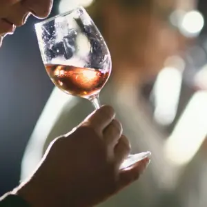 Explore Campania Wine, Food & Heritage Experience for 10 days with Campania Overland and discover unforgettable experiences - Photo 8