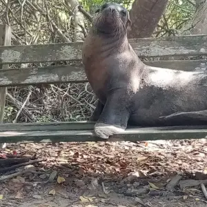 Explore 7-day Galapagos Enchanting Tour (Private Tour) for 7 days with Cami Adventures and discover unforgettable experiences - Photo 5
