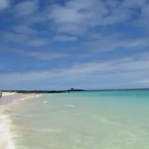 Explore Galapagos an enchanted Archipielago (8 days) for 8 days with Cami Adventures and discover unforgettable experiences - Photo 2