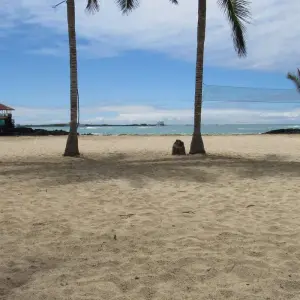 Explore Galapagos Experience (4 days) for 4 days with Cami Adventures and discover unforgettable experiences - Photo 2