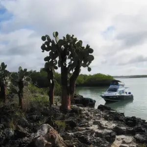 Explore Magical Galapagos (5 Days) for 5 days with Cami Adventures and discover unforgettable experiences - Photo 4