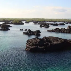 Explore Galapagos Harmony (7 Days) for 7 days with Cami Adventures and discover unforgettable experiences - Photo 2