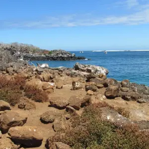Explore Galapagos Adventure (6 days) for 6 days with Cami Adventures and discover unforgettable experiences - Photo 3