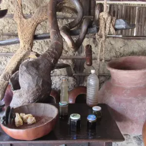 Explore Explore Quito and Galapagos (8 Days) for 8 days with Cami Adventures and discover unforgettable experiences - Photo 2