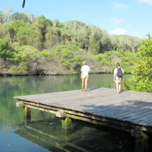 Explore Galapagos Harmony (7 Days) for 7 days with Cami Adventures and discover unforgettable experiences - Photo 3