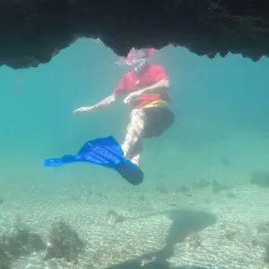 Explore Galapagos Scuba Dive - 5 Days for 5 days with Cami Adventures and discover unforgettable experiences - Photo 2