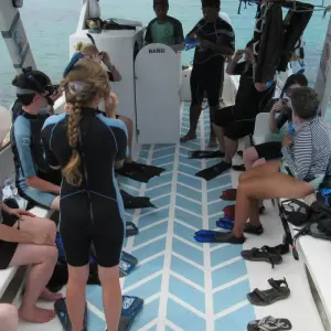 Explore Explore Quito and Galapagos (8 Days) for 8 days with Cami Adventures and discover unforgettable experiences - Photo 3