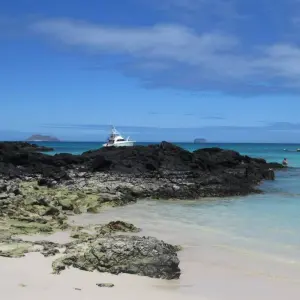 Explore Galapagos an enchanted Archipielago (8 days) for 8 days with Cami Adventures and discover unforgettable experiences - Photo 5