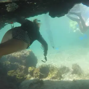 Explore Galapagos Dive Discovery - 4 Days for 4 days with Cami Adventures and discover unforgettable experiences - Photo 3