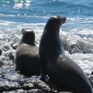 Explore 6 Days – Discover Galapagos for 6 days with Cami Adventures and discover unforgettable experiences - Photo 7