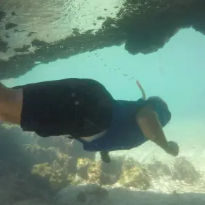 Explore Galapagos Scuba Dive - 5 Days for 5 days with Cami Adventures and discover unforgettable experiences - Photo 4